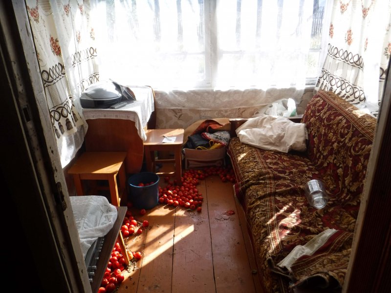 В Мордовии осуждена гражданка цыганской народности, похитившая у пенсионерки 380 тысяч рублей
