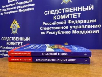 В Зубово-Полянском районе глава сельского поселения признан виновным в совершении мошенничества и служебного подлога